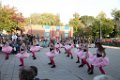 Schoolplein Festival B 327